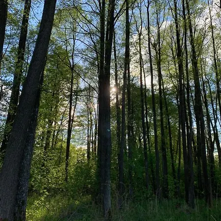 Nad Sniardwami Дом отдыха Glodowo (Pisz)