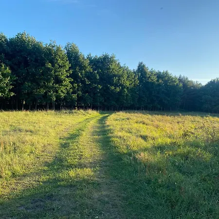 Nad Sniardwami Hébergement de vacances Glodowo (Pisz)