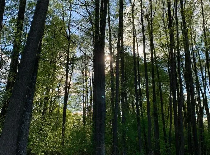 Nad Sniardwami Σπίτι διακοπών Glodowo (Pisz)