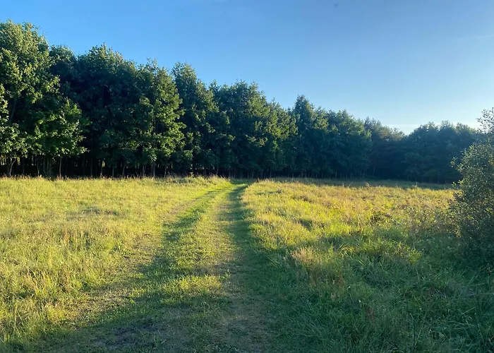 Nad Sniardwami Hébergement de vacances Glodowo (Pisz)